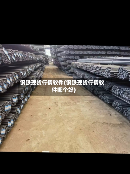 钢铁现货行情软件(钢铁现货行情软件哪个好)