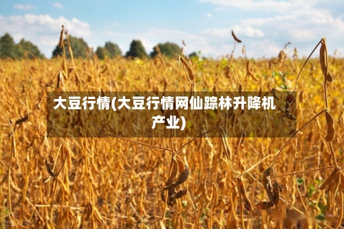 大豆行情(大豆行情网仙踪林升降机产业)-第2张图片