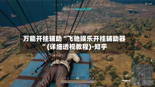 万能开挂辅助“飞驰娱乐开挂辅助器	”(详细透视教程)-知乎-第2张图片