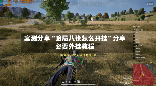 实测分享“哈局八张怎么开挂”分享必要外挂教程-第2张图片