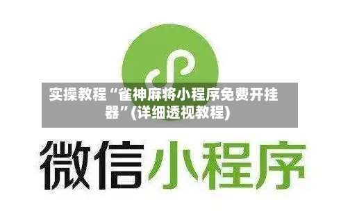 实操教程“雀神麻将小程序免费开挂器”(详细透视教程)-第2张图片