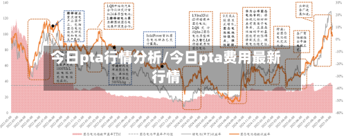 今日pta行情分析/今日pta费用最新行情