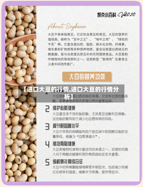 【进口大豆的行情,进口大豆的行情分析】