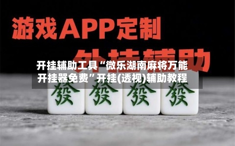 开挂辅助工具“微乐湖南麻将万能开挂器免费”开挂(透视)辅助教程-第2张图片