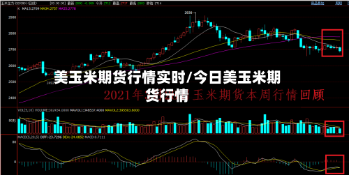 美玉米期货行情实时/今日美玉米期货行情-第2张图片