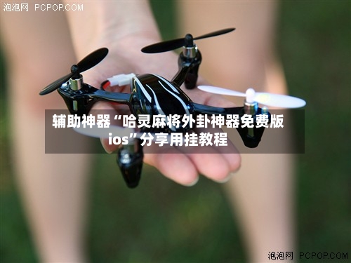 辅助神器“哈灵麻将外卦神器免费版ios”分享用挂教程-第2张图片
