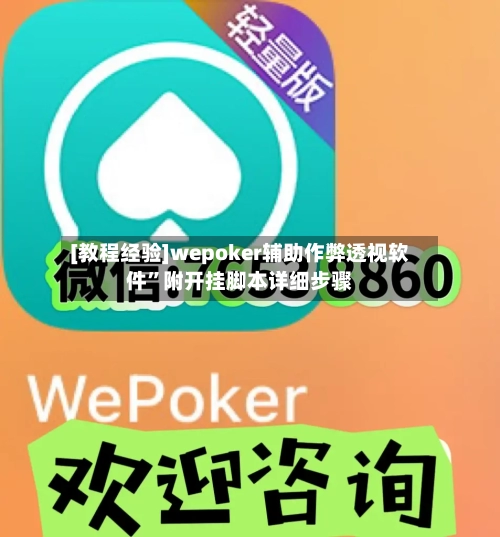 [教程经验]wepoker辅助作弊透视软件”附开挂脚本详细步骤-第3张图片