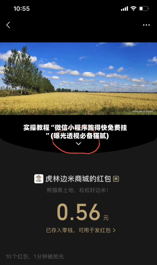实操教程“微信小程序跑得快免费挂”(曝光透视必备猫腻)-第2张图片
