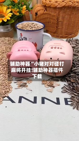 辅助神器“小猪对对碰打麻将开挂!辅助神器插件下载-第2张图片