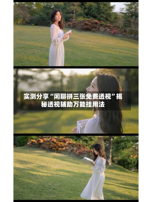 实测分享“闲聊拼三张免费透视”揭秘透视辅助万能挂用法-第2张图片