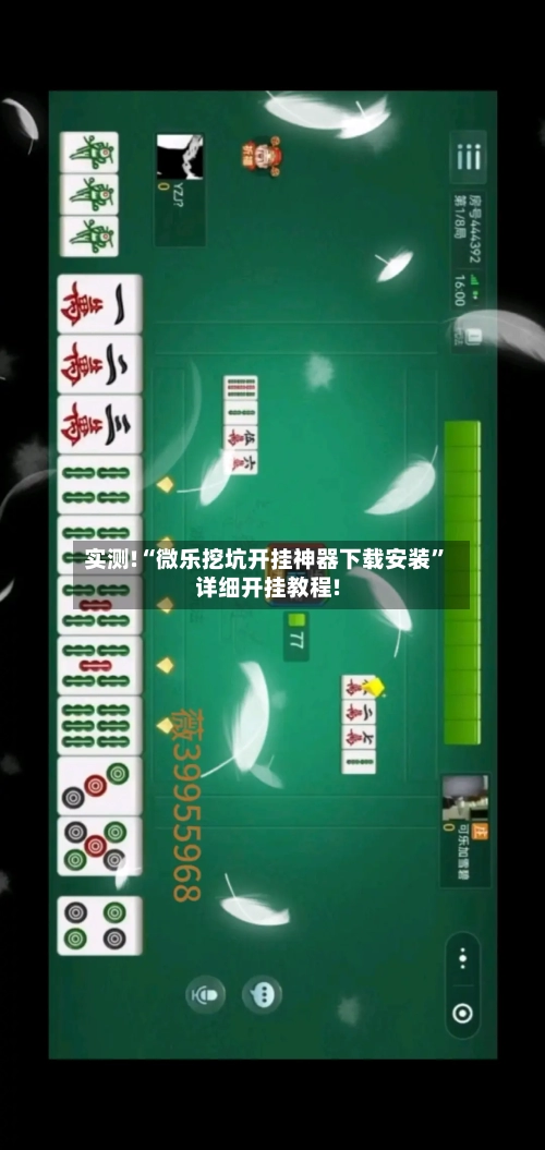 实测!“微乐挖坑开挂神器下载安装	”详细开挂教程!-第3张图片