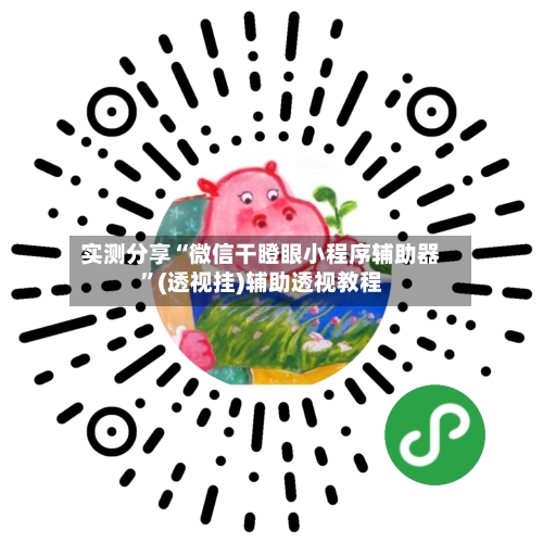 实测分享“微信干瞪眼小程序辅助器”(透视挂)辅助透视教程-第2张图片