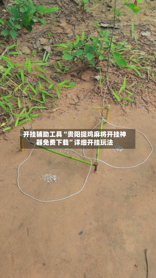 开挂辅助工具“贵阳捉鸡麻将开挂神器免费下载”详细开挂玩法
