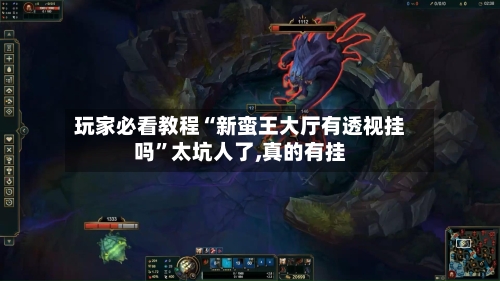玩家必看教程“新蛮王大厅有透视挂吗”太坑人了,真的有挂-第2张图片