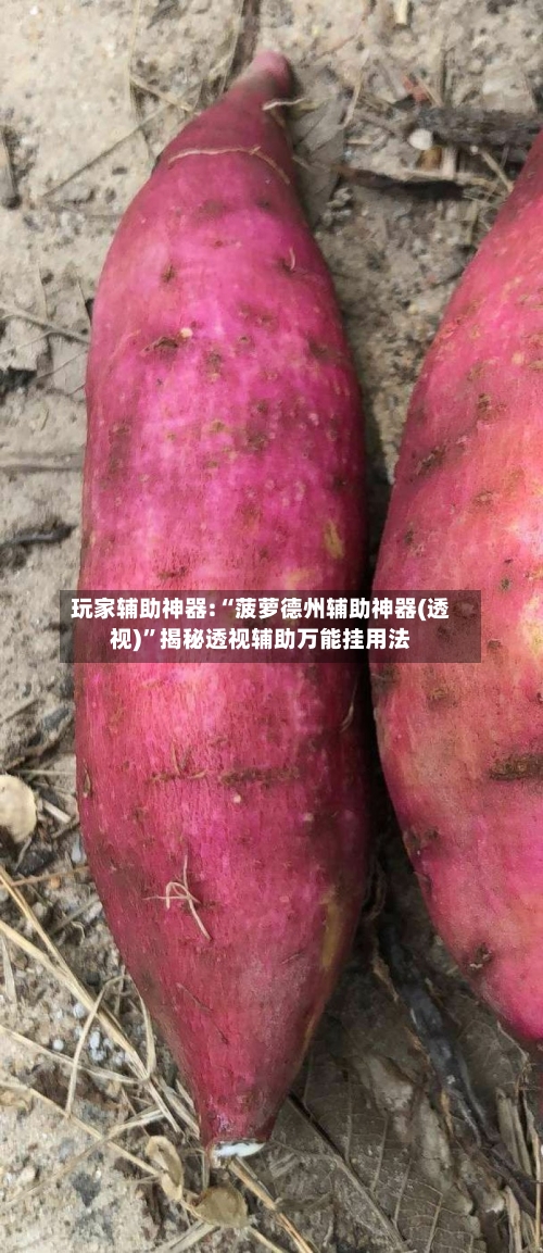玩家辅助神器:“菠萝德州辅助神器(透视)”揭秘透视辅助万能挂用法-第2张图片