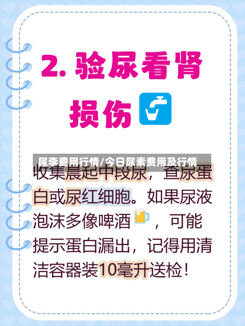 尿李费用行情/今日尿素费用及行情