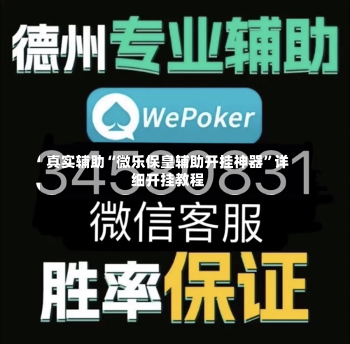 真实辅助“微乐保皇辅助开挂神器”详细开挂教程