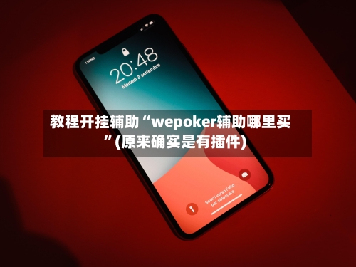 教程开挂辅助“wepoker辅助哪里买	”(原来确实是有插件)-第2张图片