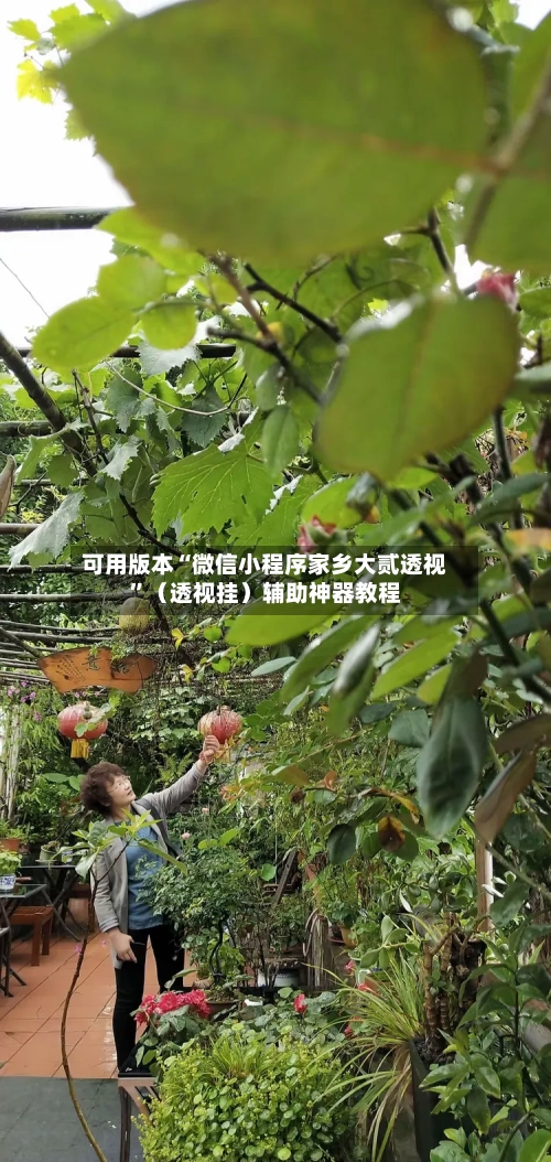 可用版本“微信小程序家乡大贰透视	”（透视挂）辅助神器教程-第2张图片