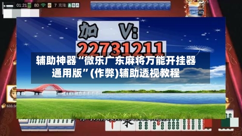 辅助神器“微乐广东麻将万能开挂器通用版”(作弊)辅助透视教程-第3张图片