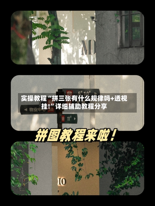 实操教程“拼三张有什么规律吗+透视挂!”详细辅助教程分享-第2张图片