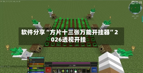 软件分享“方片十三张万能开挂器”2026透视开挂-第2张图片
