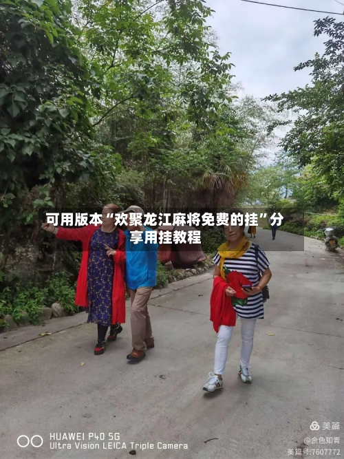 可用版本“欢聚龙江麻将免费的挂”分享用挂教程-第2张图片
