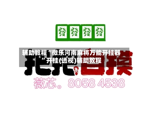 辅助教程“微乐河南麻将万能开挂器”开挂(透视)辅助教程-第3张图片