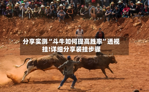 分享实测“斗牛如何提高胜率”透视挂!详细分享装挂步骤-第2张图片