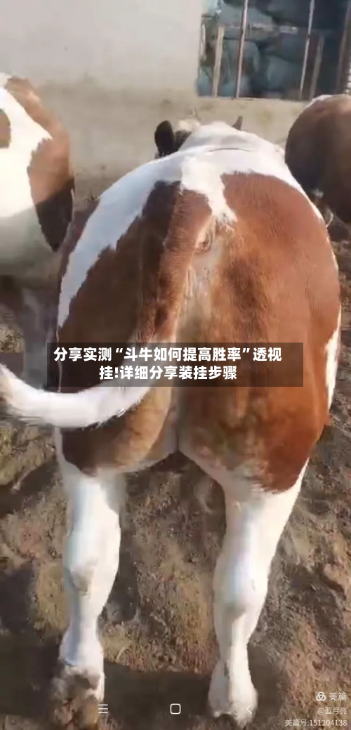 分享实测“斗牛如何提高胜率”透视挂!详细分享装挂步骤-第3张图片