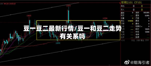豆一豆二最新行情/豆一和豆二走势有关系吗-第2张图片