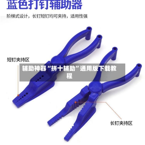 辅助神器“拼十辅助”通用版下载教程-第2张图片