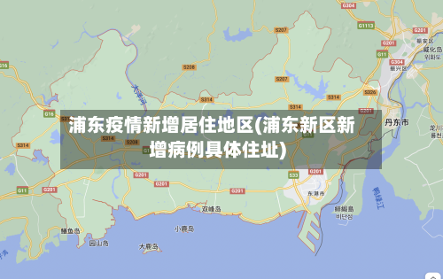 浦东疫情新增居住地区(浦东新区新增病例具体住址)