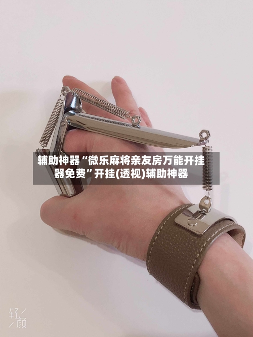 辅助神器“微乐麻将亲友房万能开挂器免费”开挂(透视)辅助神器-第3张图片