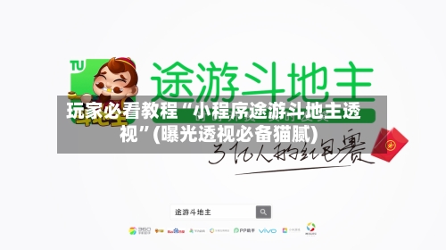玩家必看教程“小程序途游斗地主透视”(曝光透视必备猫腻)-第2张图片