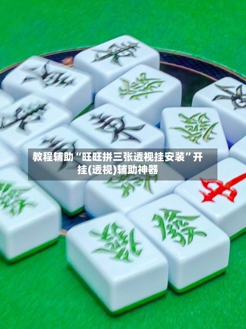 教程辅助“旺旺拼三张透视挂安装”开挂(透视)辅助神器-第3张图片
