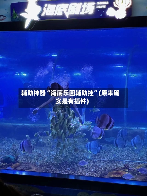 辅助神器“海底乐园辅助挂”(原来确实是有插件)-第2张图片