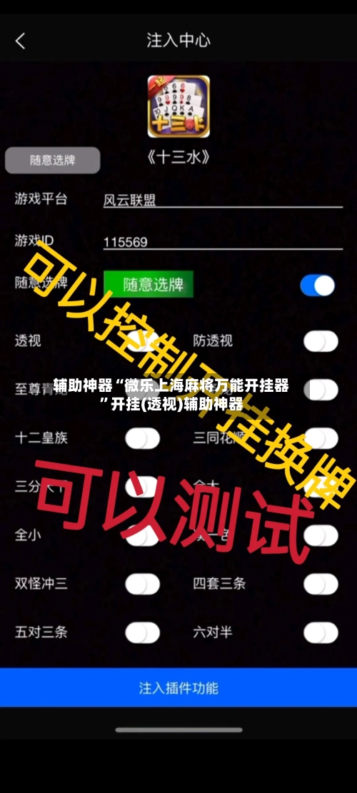 辅助神器“微乐上海麻将万能开挂器”开挂(透视)辅助神器-第2张图片