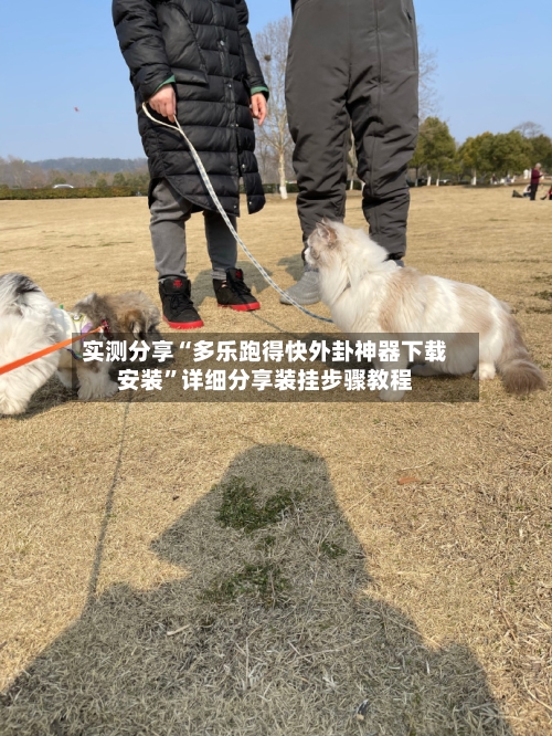 实测分享“多乐跑得快外卦神器下载安装	”详细分享装挂步骤教程-第2张图片