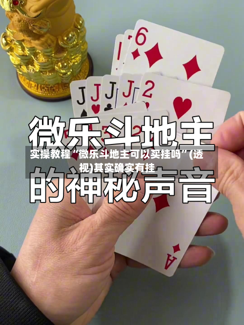 实操教程“微乐斗地主可以买挂吗	”(透视)其实确实有挂-第2张图片