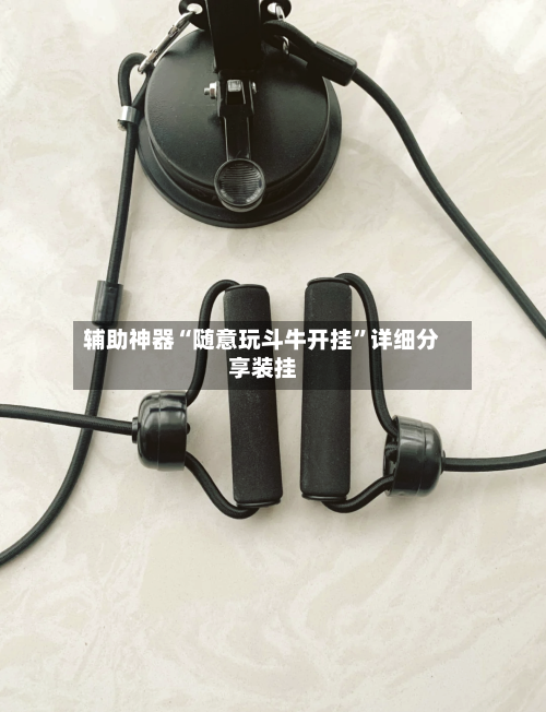 辅助神器“随意玩斗牛开挂”详细分享装挂-第2张图片