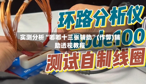 实测分析“嘟嘟十三张辅助”(作弊)辅助透视教程-第2张图片