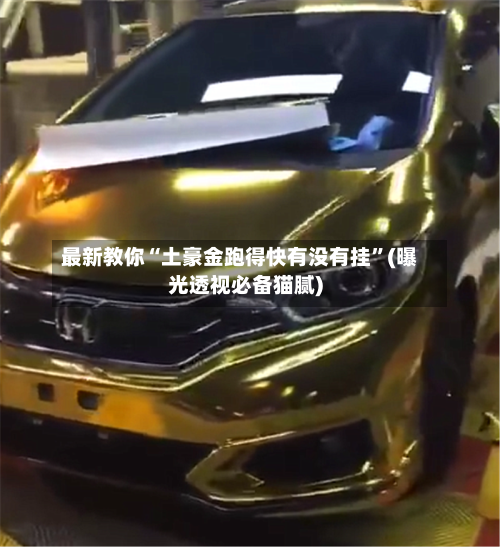 最新教你“土豪金跑得快有没有挂”(曝光透视必备猫腻)-第2张图片