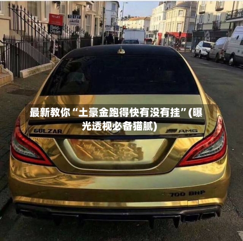 最新教你“土豪金跑得快有没有挂	”(曝光透视必备猫腻)-第1张图片