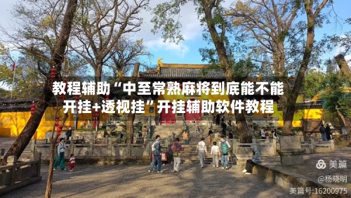 教程辅助“中至常熟麻将到底能不能开挂+透视挂”开挂辅助软件教程-第2张图片