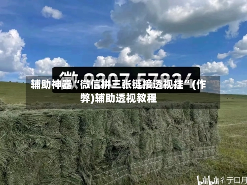辅助神器“微信拼三张链接透视挂	”(作弊)辅助透视教程-第2张图片
