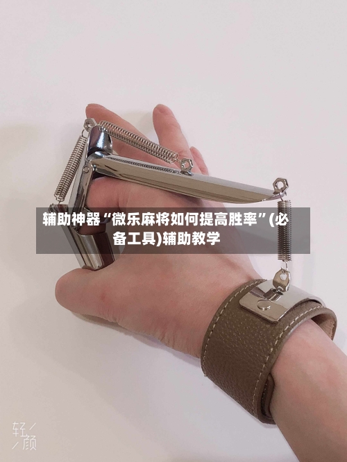 辅助神器“微乐麻将如何提高胜率”(必备工具)辅助教学-第2张图片