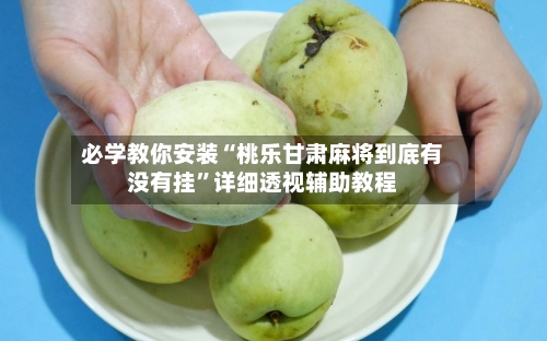 必学教你安装“桃乐甘肃麻将到底有没有挂	”详细透视辅助教程-第2张图片