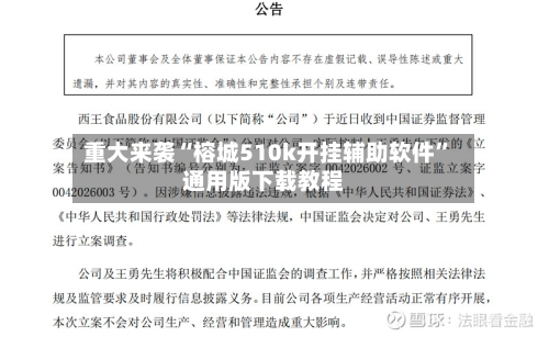 重大来袭“榕城510k开挂辅助软件	”通用版下载教程-第3张图片