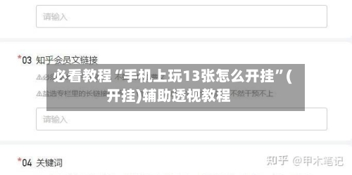 必看教程“手机上玩13张怎么开挂”(开挂)辅助透视教程-第3张图片